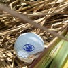 Ball Tatt - Eye on Ball Golf Ball Stamp, Golf