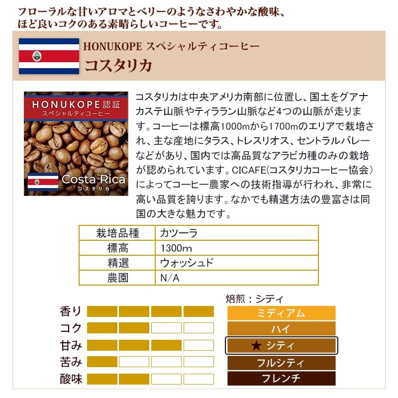 Kato Coffee Thank You Bag (Winter/Q Kolo/Q Tan/Q Lao)