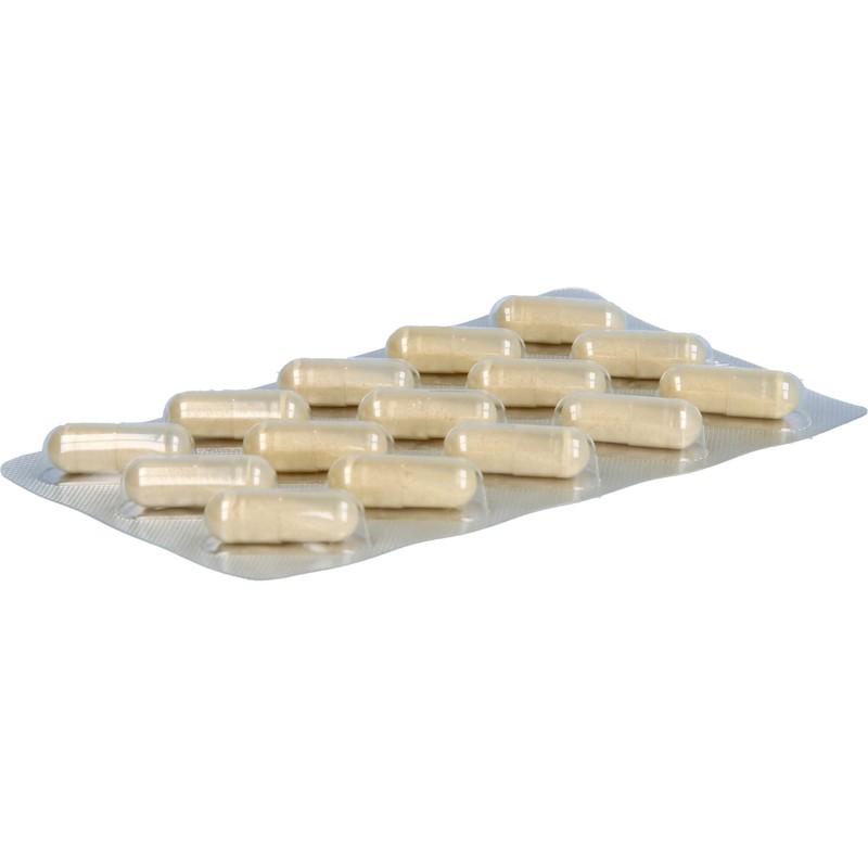 MensSana Enzyme Capsules Pack of 75