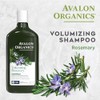 Avalon Avalon Shampoo Rosemary, 11 Ounce