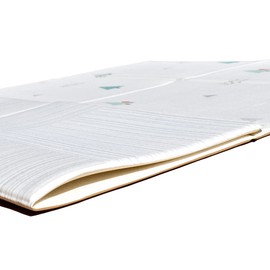 Parklon Foldable, Soft Cushioned Play Mat for Babies and Toddlers, Reversible, 78.7x55.1x0.6 in., Water Resistant