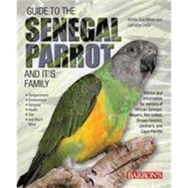 Guide to the Senegal Parrot and Its Family