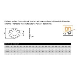 PD® Tooth Washers M8 (DIN 6797-A/UNI 8841-A), External Serrated Washers Made of Stainless Steel A2 V2A, Pack of 50