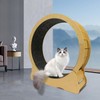 Cat Wheel Cat Exercise Wheel for Indoor Cat,35.43'' L Cat
