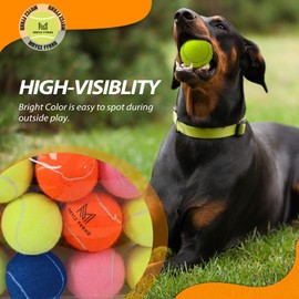 MRYCZ FYRHD Tennis Ball Dog Toys 4 Pack - Giant 4-Inch Durable and Safe Fetch Tennis Ball for Dogs with Mesh Bag, Large Dog Tennis Balls Perfect for Indoor and Outdoor Interactive Play(Multicolor)