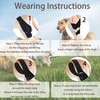 Dog Knee Brace Support for Torn ACL Hind Leg, Adjustable