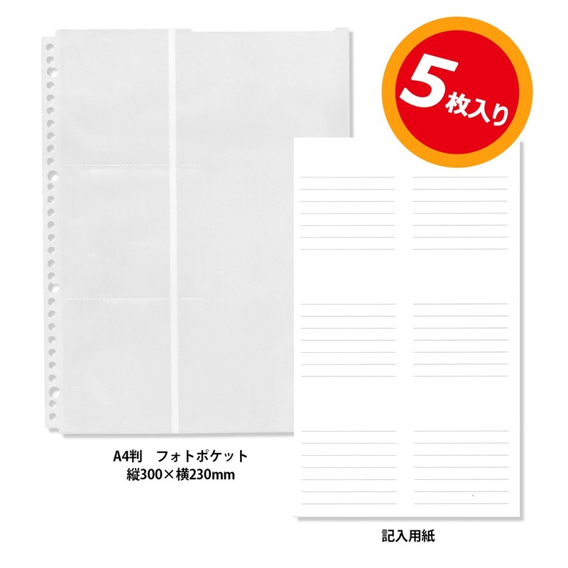 Lion Office Equipment File Refill, Photo Pocket, A4, Double-Sided, PH-PT3,