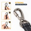 1.2 m Bungee Dog Lead for Walking, Reflective Elastic Dog