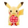US Seller: Pikachu And Gracidea's Bouquet Plush