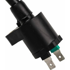 BMP Ignition Coil Module For Sportsman 1000 Watts Inverter Generator Model# 802085