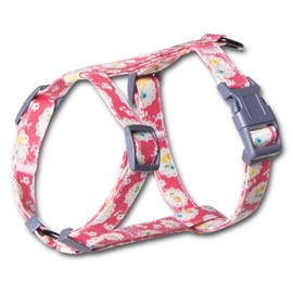 Touchcat 'Radi-Claw' Durable Cable Cat Harness and Leash Combo