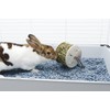 Living World Spinning Hay Dispenser Wheel, 13 x 13 x