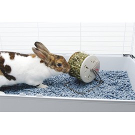 Living World Spinning Hay Dispenser Wheel, 13 x 13 x 15 cm