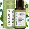 Aceite Esencial De Bergamota Puro 15ml Para Difusor Y Aroma