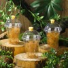 Honeydak 50 Pack Praying Mantis Habitat, Live Chinese Ootheca Praying