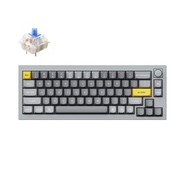 Keychron Q2 Wired 65% Mechanical Keyboard with Knob & RGB - Hot-Swappable Gateron G Pro Blue Switch, QMK/VIA Programmable, Double Gasket Mount, Aluminum Body for Mac/Windows/Linux (Grey)