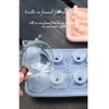 2-Pack Silicone Cat Ice Cube Trays with Free Stainless Steel