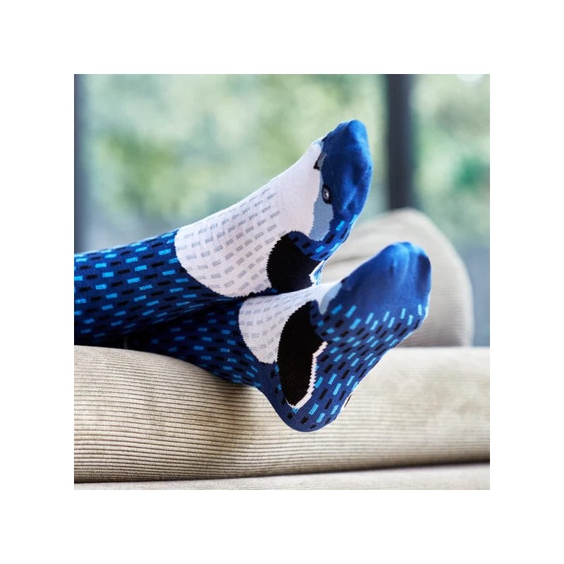 Wilson Payne Down Under Socks - Little Penguin, 8-11
