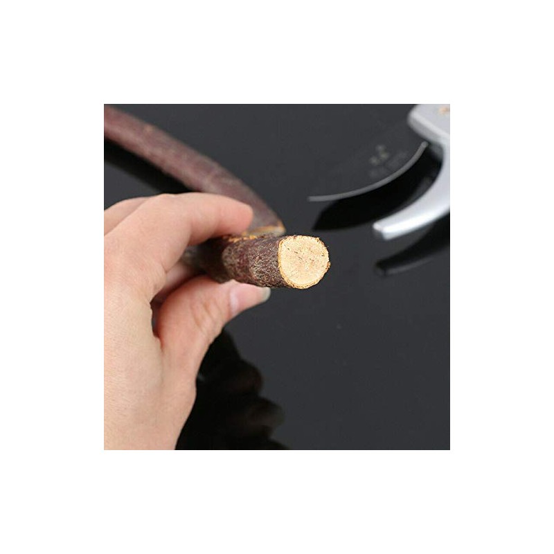 Vogueing Tool Heavy Duty Pruning Shears, Pruning Shears Bypass Professional