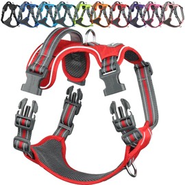 VIVAGLORY Dog Harness Easewalk No Pull Dog Harness with Handle & Front Back Clip for Training Lifting, Easy On Adjustable Padded No Pull for Pet & Puppy, S, Red