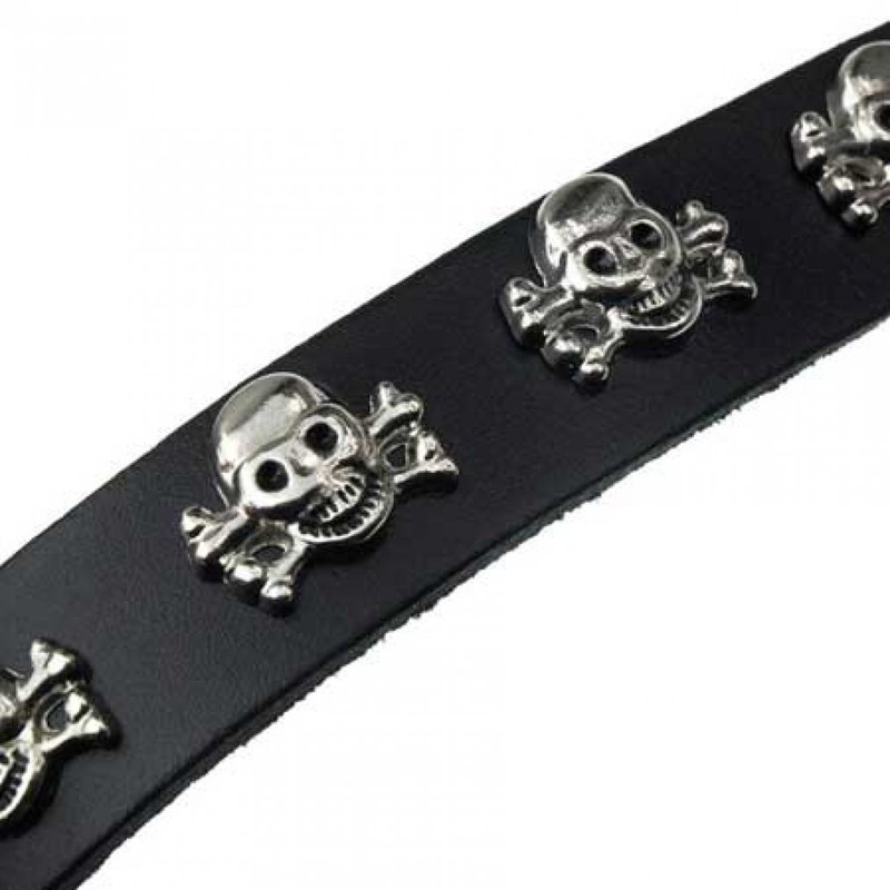 Collar with Skull & Bones designs