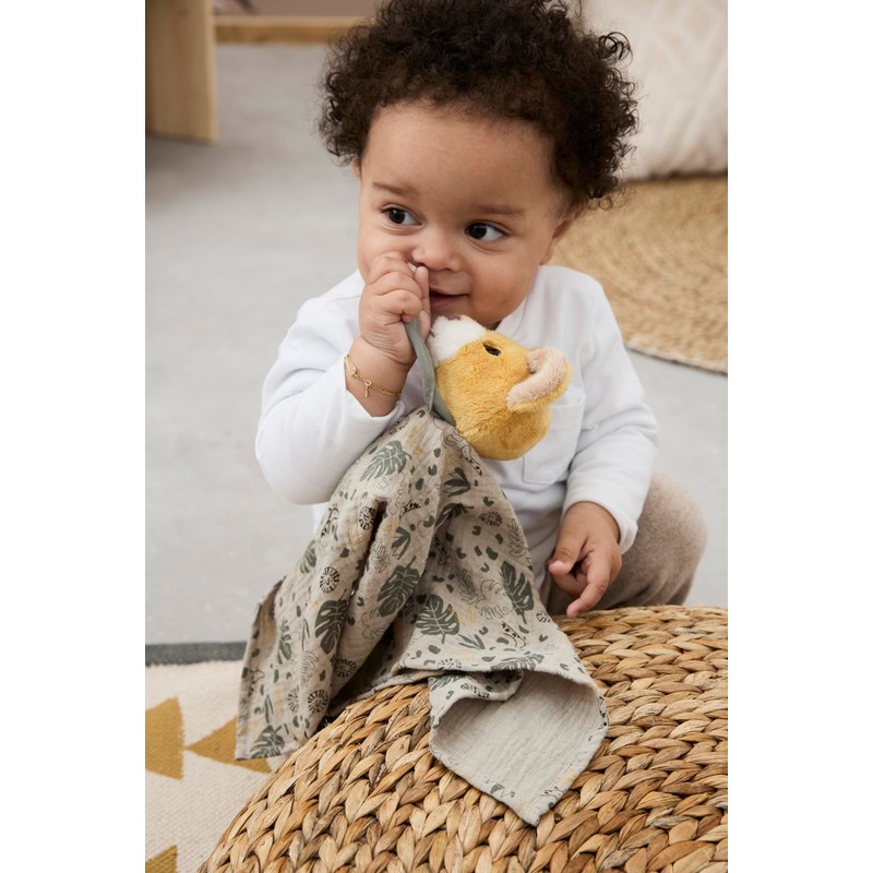 Träumli Set Lion Leo