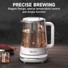 ICOOKPOT Titanium & Stainless Steel Electric Kettle with Tea Infuser