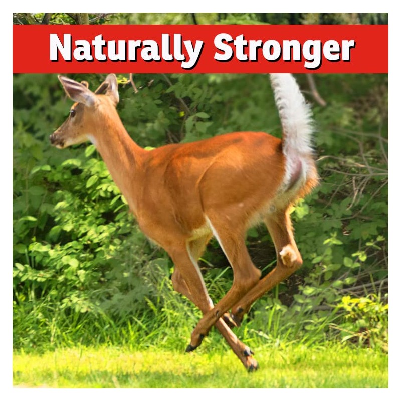 I Must Garden Deer, Rabbit and Groundhog Repellent: All-Weather Granular