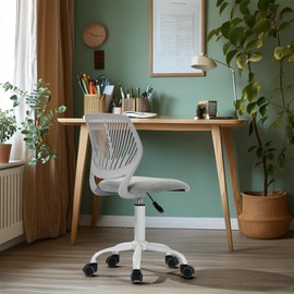 Homy Casa Armless Home Office Desk Chair, Colorful Task Chair with Soft Mesh Padded Cushion, Height Adjustable Swivel Study Computer Chair for for Girls Boys Teens (CO-Grey, 1PC)