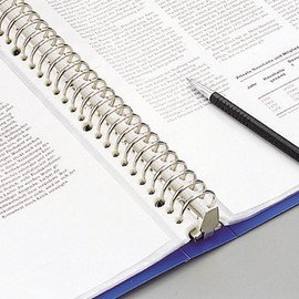 Lihit Lab G3801-5 30 Ring Binder, A4, 15 Protect Sheets, Yellow