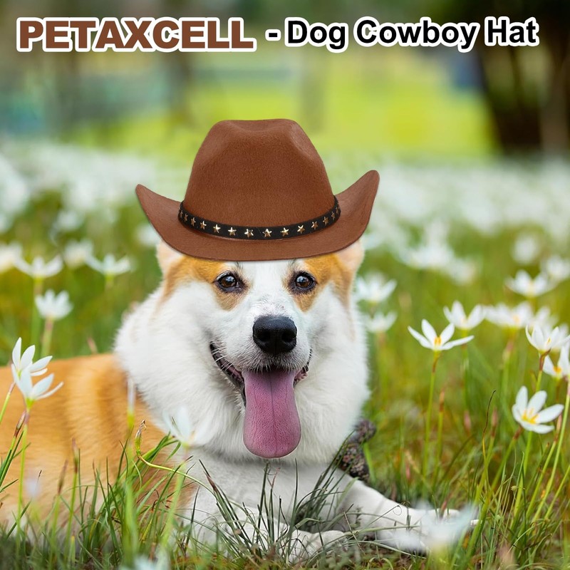 PETAXCELL Dog Cowboy Hat, Mini Cowboy Hat for Pet with