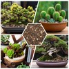 Omitgoter Bonsai Soil Mix 1qt, Potting Soil Mix Ready to