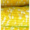 25 Peaches & Cream Corn Seeds | Hybrid | Instant
