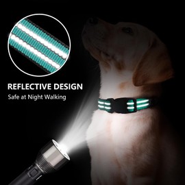 Hikiko Martingale Dog Collars Reflective Nylon Dog Collar with Quick Release Buckle Adjustable Training No Slip Dog Collar (Large, Turquoise)