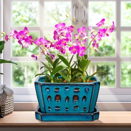 Teenyyou 1 Set Orchid Pot with Holes 7 Inch Ceramic Orchid Pot with Saucers for Repotting Amaryllis Flower Planter Include Gardening Shovel Set and Gloves for Home Decor(Blue)