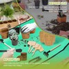 Premium Bonsai Kit,Complete Bonsai Starter Kit with Wooden Gift Box,repotting