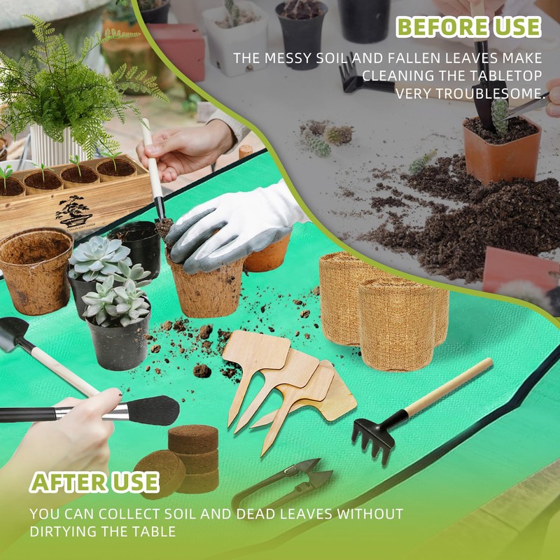 Premium Bonsai Kit,Complete Bonsai Starter Kit with Wooden Gift Box,repotting