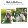 Petmolico No Pull Dog Harness Set, 2 Leash Attchment Easy