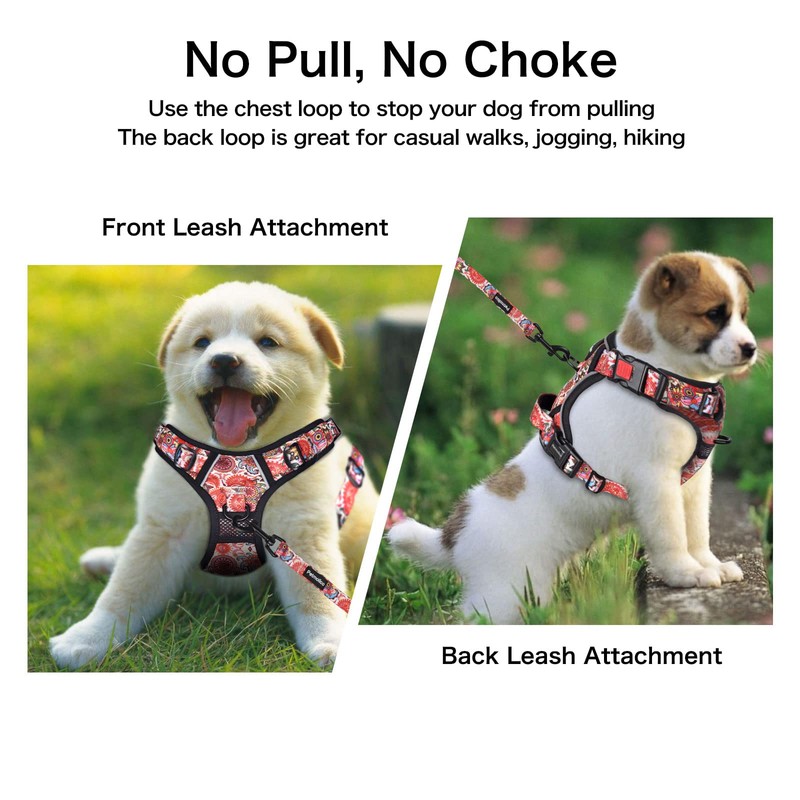 Petmolico No Pull Dog Harness Set, 2 Leash Attchment Easy