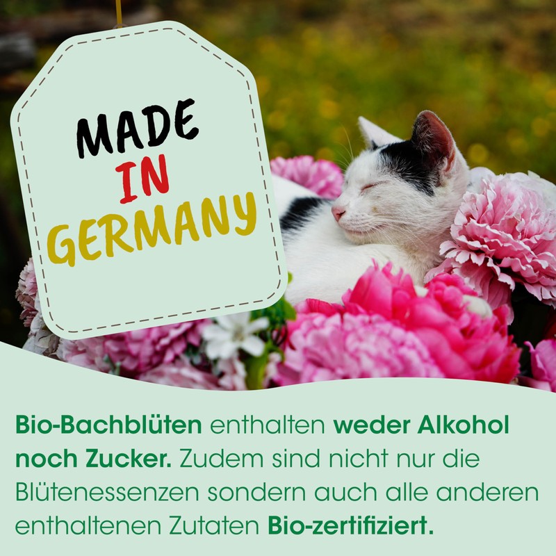 cdVet Bio-Bachblüten S.O.S 10 ML
