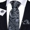 Barry.Wang Mens Silk Paisley Tie Set Black Silver Necktie Pocket