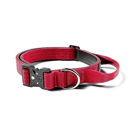 BullyBillows | Dog Collar | 2.5cm Combat® Collar With Handle & Pressure Rated Clip | Suitable For All Dog Breeds | Stainless Steel Dog Collar | Red V2 XSmall - 14-18" / 34-46cm