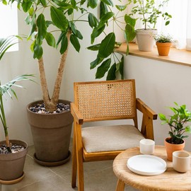 Calofulston 15LB River Rocks for Plants, Decorative Polished Stones for Garden Landscaping, Planters, Indoor and Outdoor Decor, Mixed Color, 1-1 3/4 Inch