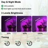 Teilybao Solar-Powered Grow Lamp with Battery, 2-Head 40 LED Full