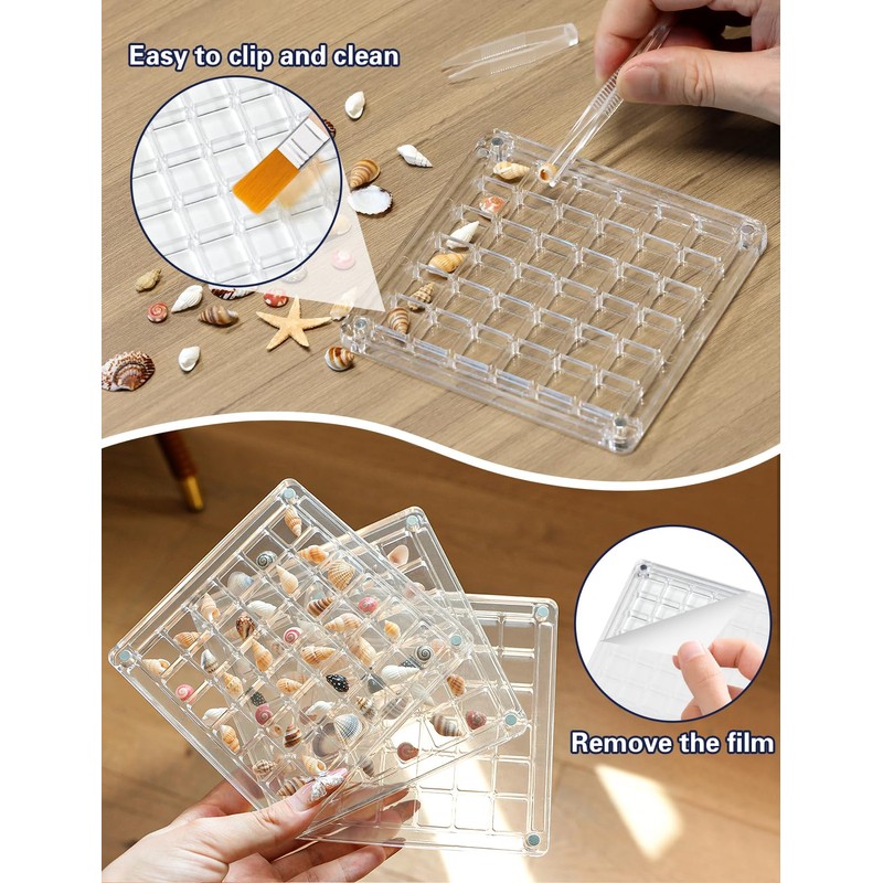 Seashell Display Box – 36 Grid Clear Acrylic Shell Holder