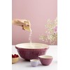 Mason Cash in The Meadow Set of 3 Measuring Cups