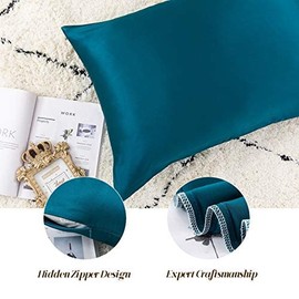 Ethlomoer Natural Pure Silk Pillowcase for Hair and Skin, 19 Momme on Both Sides, 600 Thread Count, Design with Hidden Zip, 1 Piece (Turquoise, 80 x 80 cm)