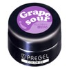 PRE GEL Color EX Grape Sour 0.1 oz (3 g)