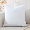 Artscope Luxury Velvet Cushion Covers Decorative Square Pillowcases Soft Solid