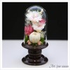 ArtFour Seasons Buddha Flower (Brown Series), Mini Winged Chrysanthemum Glass,